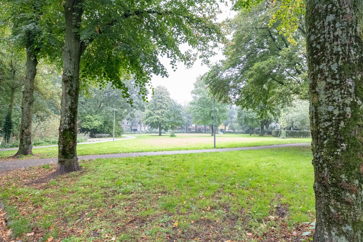 Besemerstraat 6 B 02, ROTTERDAM 19